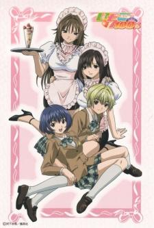 Strawberry 100% poster