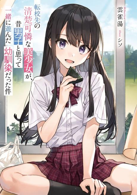 Tenkousaki no Seiso Karen na Bishoujo ga, Mukashi Danshi to Omotte Issho ni Asonda Osananajimi datta Ken poster