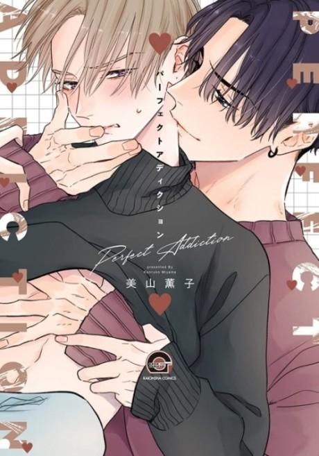 Perfect Addiction poster