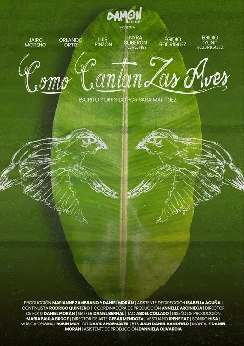 Como Cantan Las Aves poster
