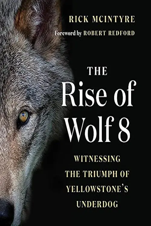 The Alpha Wolves of Yellowstone poster