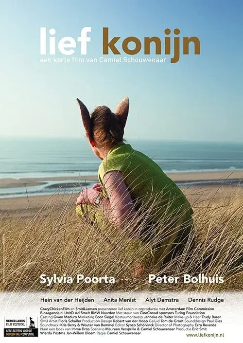 Sweet Rabbit poster