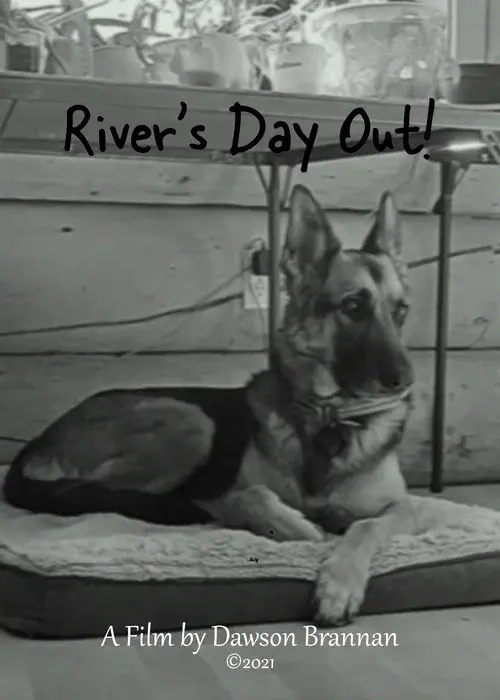 River's Day Out! poster