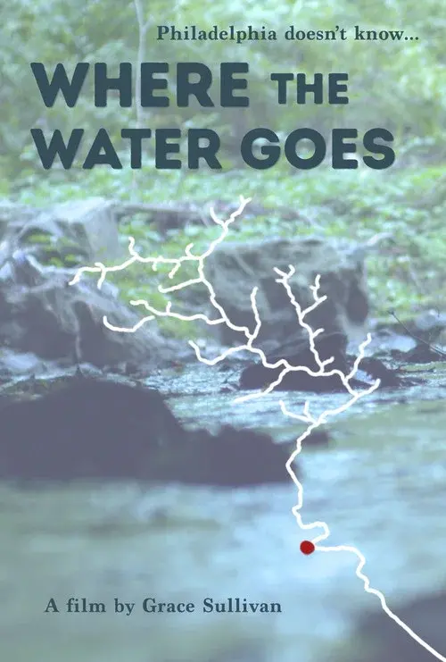 Where the Water Goes poster