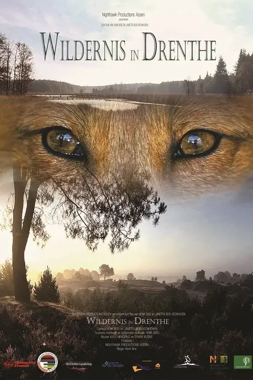 Wildernis in Drenthe poster