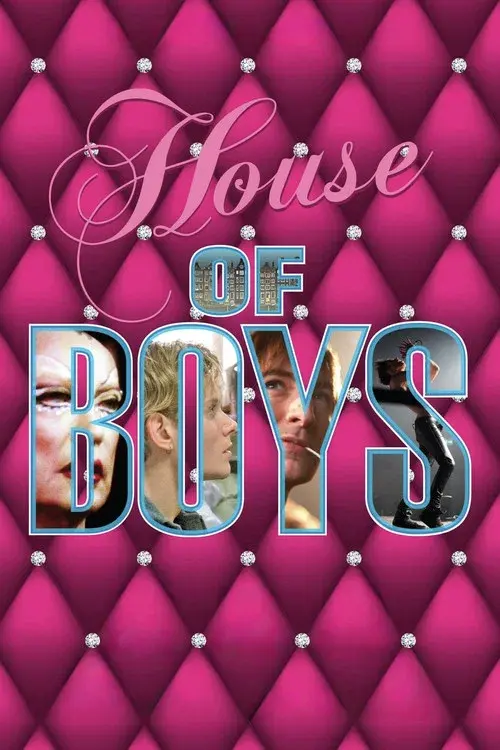 House of Boys poster