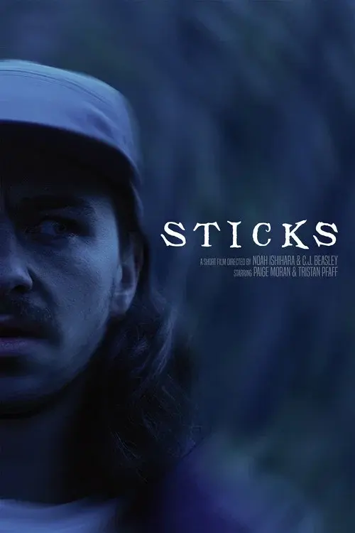 STICKS poster