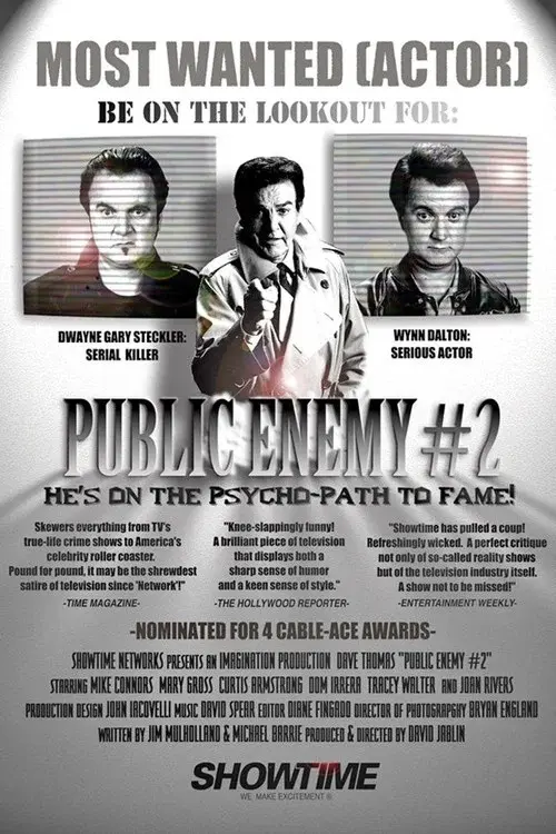 Public Enemy #2 poster