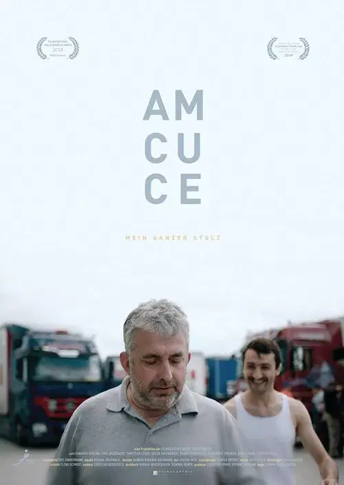 Am Cu Ce - Pride poster
