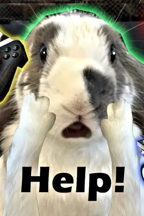 Rabbit Home Alone poster