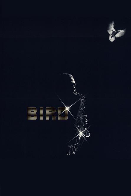 Bird poster