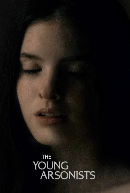 The Young Arsonists poster