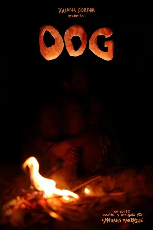 Oog poster