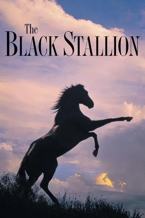 The Black Stallion poster