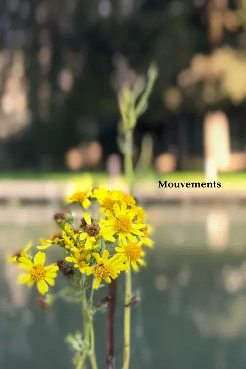 Mouvements poster