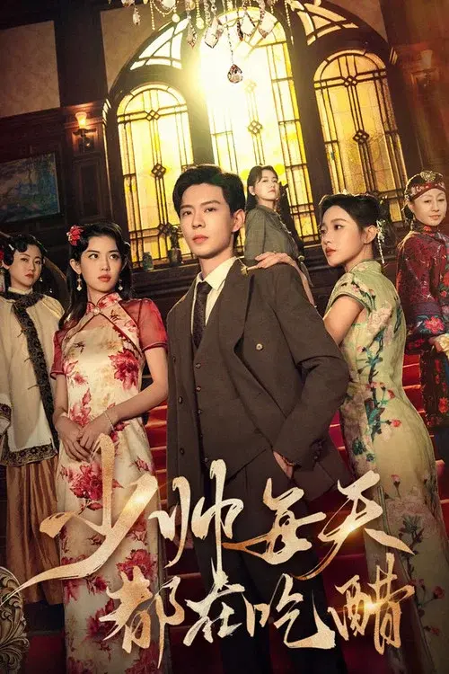 少帅每天都在吃醋 poster